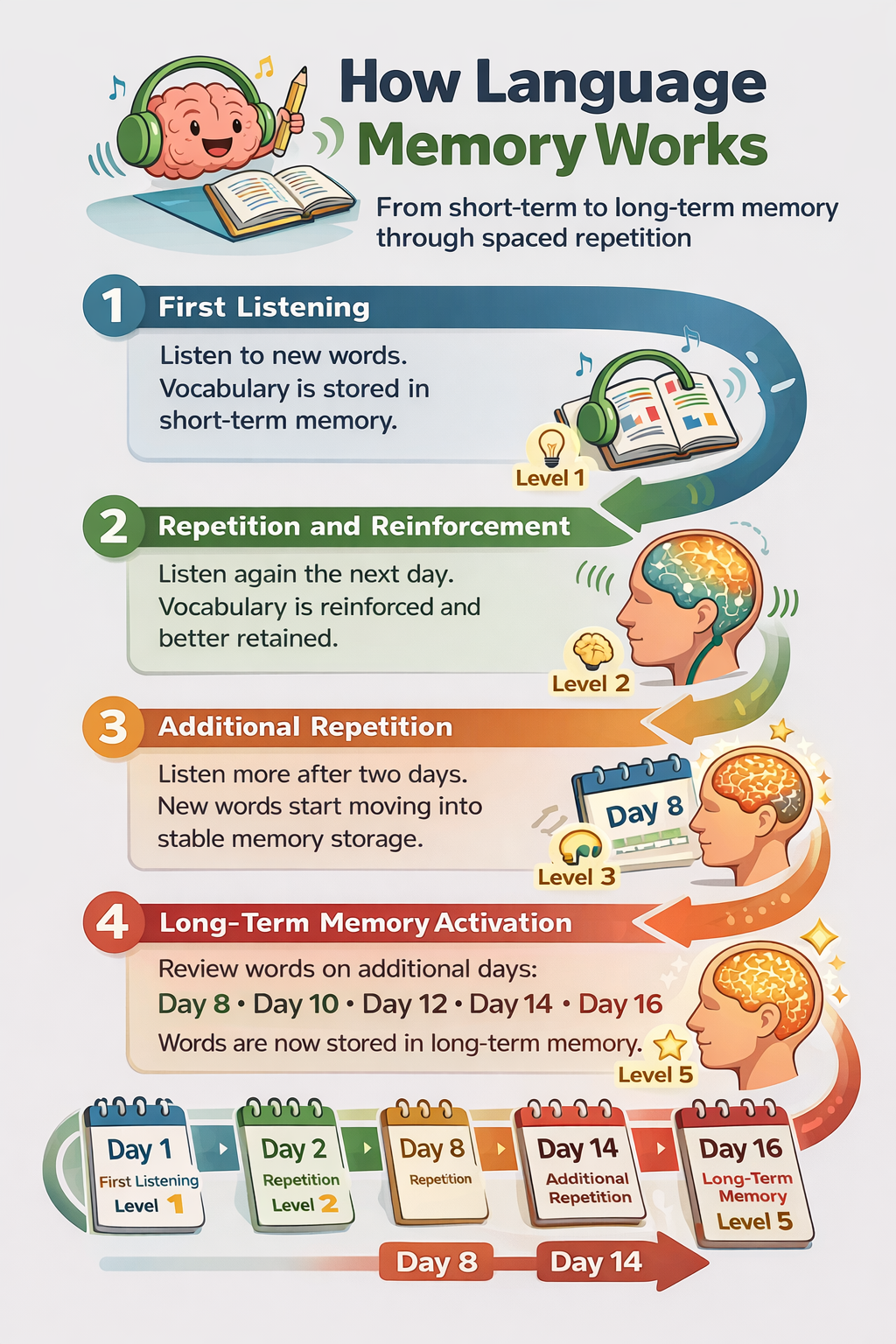 Dutch Language Course for English Speakers
